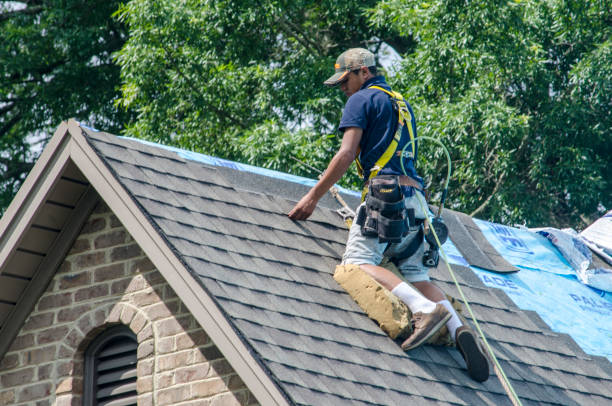 Best Flat Roof Repair Services  in Murphys, CA